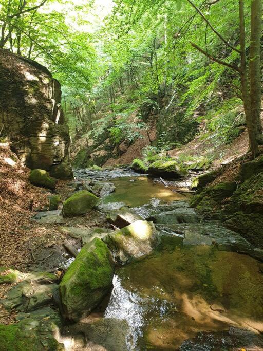 Waterfall A Frame, Maramures Baia Mare Exterior foto